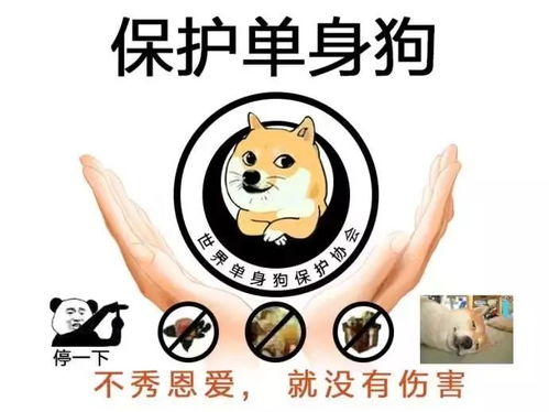 评析与较深层反思