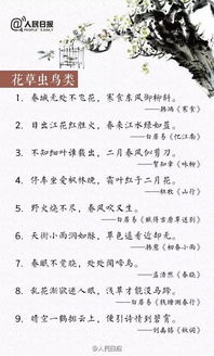 2024年段姓男孩有诗意的名字推荐（快点看！）