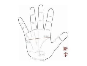 （一） 左手断掌：“掌兵符”的权力隐喻