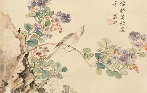 花鸟鱼虫？灵感来源