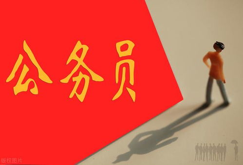 公务员考试竞争压力分析：现实困境与未来展望