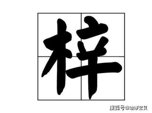 3.1 单字名的优势与适用场景