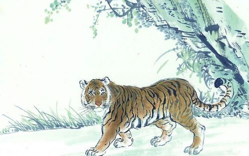 1878年属什么生肖，那年的辅世长民又是哪个生肖年？