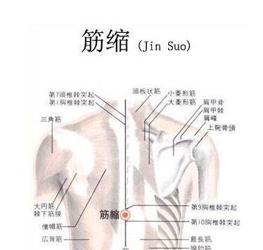 2. 通经活络与行气走窜的临床应用