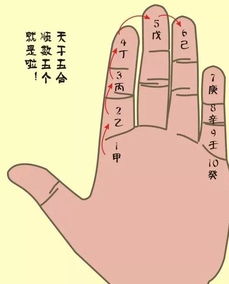 1. 掌诀位定义