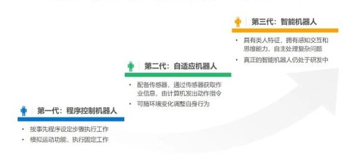 四、 综合评价与未来研究方向