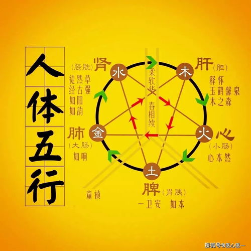 基于五行命理的开业吉日优选策略
