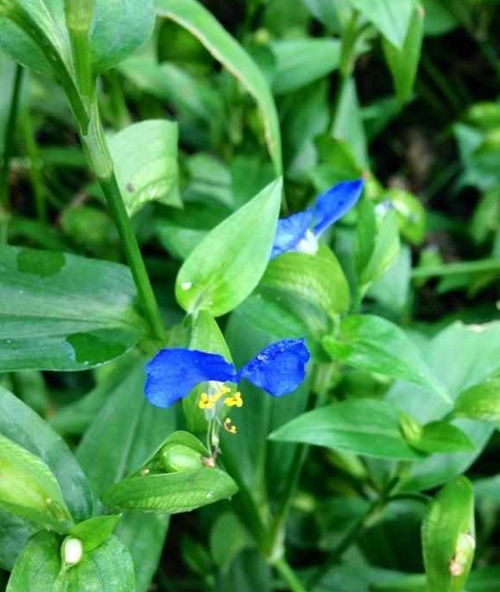 2026年开运秘籍！这样养才能逆天改命