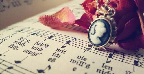 生肖与流年的互动关系：桃花星引发的时空共振