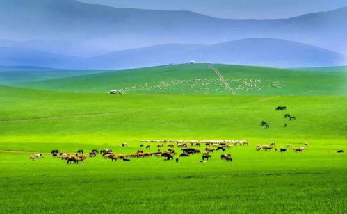 四、 锡林郭勒草原：野到没边的自由狂欢派对