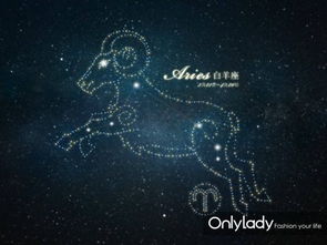 第三名：摩羯男