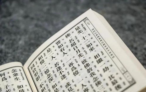 杨公忌日的原委