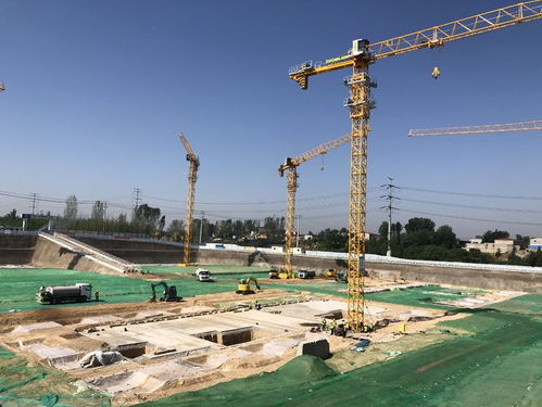 为什么有些生肖在37岁后生活水平会显著提高呢？