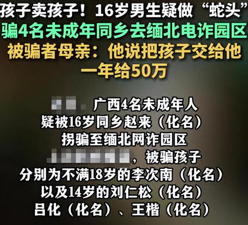 3.2 家庭责任感的缺位与家庭结构的脆弱性