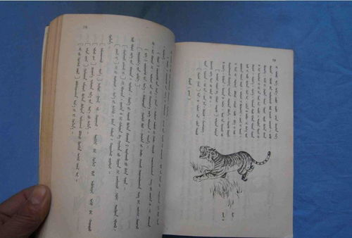 女生学习风水这门技艺在未来有没有发展前景？