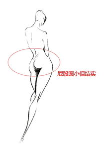 一、臀部形态与性格分析