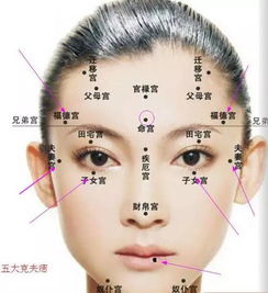 1. 脸的左下方或右下方：传统相学的核心观点