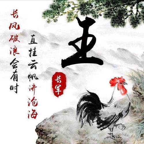 方向三：花鸟鱼虫 (别落入俗套!)