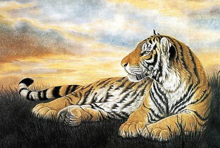 独霸森林的最佳生肖是什么？富甲一方的最佳生肖又是哪个生肖呢？