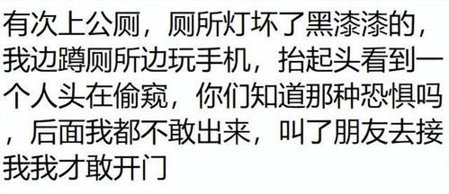 第一章：书页永恒——时间段的循环与记忆的遗忘 (150-200字)