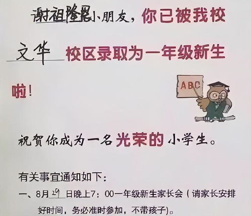 六、 注意事项 (避免踩坑)