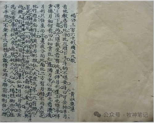 一、 宝义制专伐日的由来与理论基础