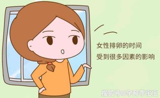 排卵期：女性群体生育的关键窗口