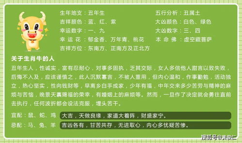 四、  健康运势：腰椎护理与生活方式的调整