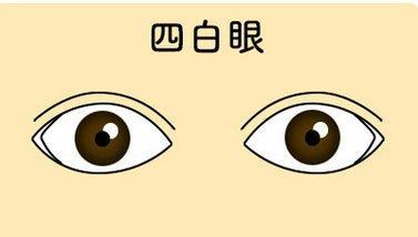 五、“三白眼”/“四白眼”