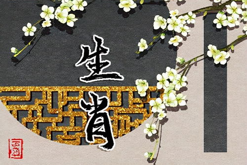 4．饰品化解方法概述（含阴阳属性辨析）