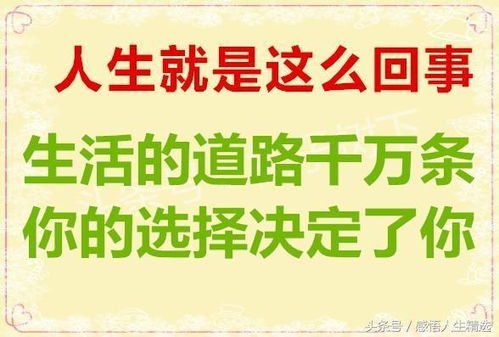 不良行为循环与情感困境