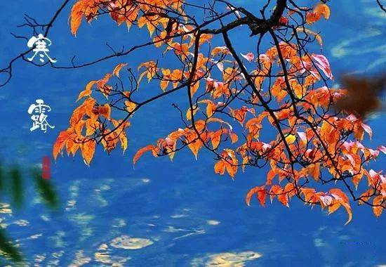 第一章：物候变迁与阴阳气机的哲学阐释