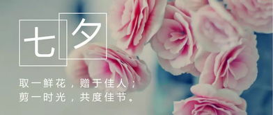 情深似海猜一生肖，言笑晏晏似春暖，形容的是哪个生肖？