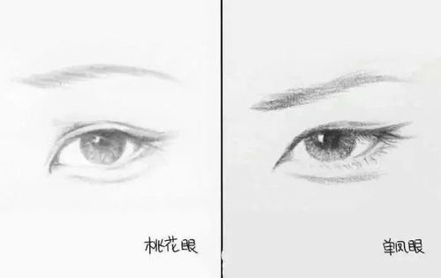 一、 桃花眼的异象：从相学视角审视