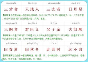 天罗地网配合实例解析