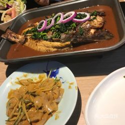 美食推荐？别逗了全是雷区