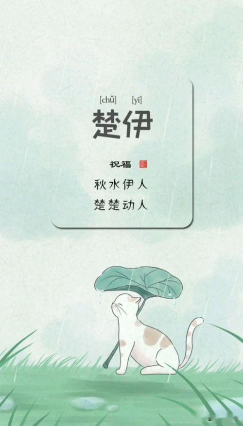 和畅与存志 温柔与坚定的碰撞