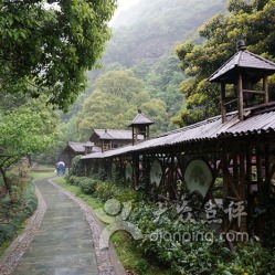 3. 茶镇联名卡超级香！免费进+吃喝无忧