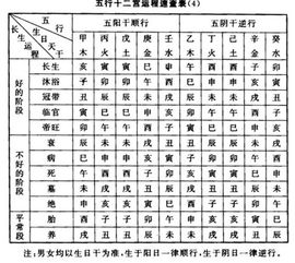 一、 九干之定义及其在命理体系中的定位