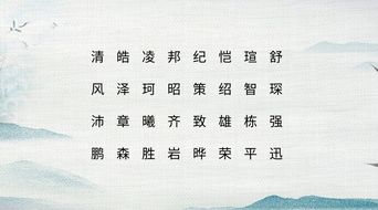 前言——名字这碗乱炖