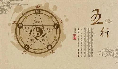 五行属性的十分沉关键性