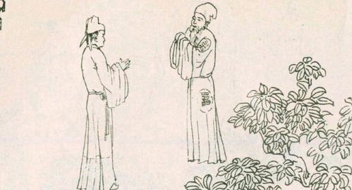 命母改写后，如何将算命母命的含义用表达？