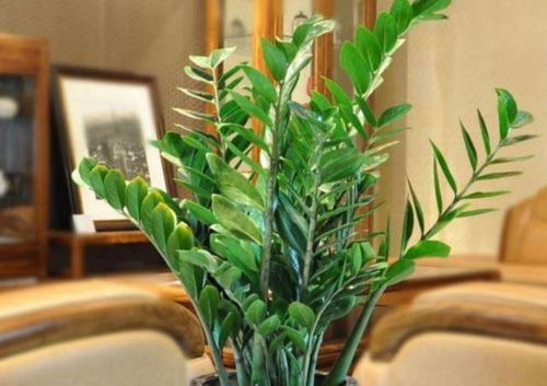 2. 金元宝——进宝增运之实体媒介