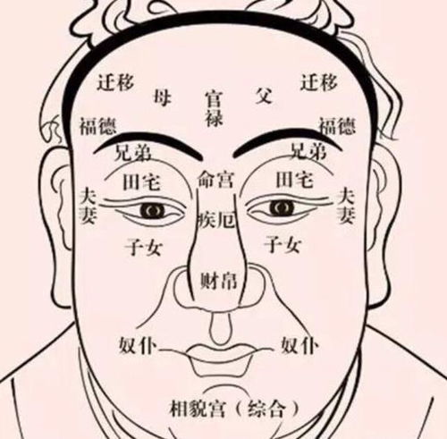 周老师，面相和八字结合算命，这样准确吗？