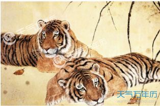 1974年出生属虎女性今天运势吉凶如何？