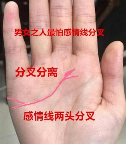 手相中如何看出与父母的缘分以及婚姻缘分？