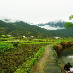 5. 购物指南：坑你没商量（砍价技巧全靠吼！）