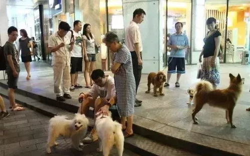 82年属狗女性在2025年或2026年有生育计划吗？