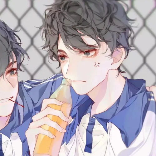 3. 双子座男性的网名解析