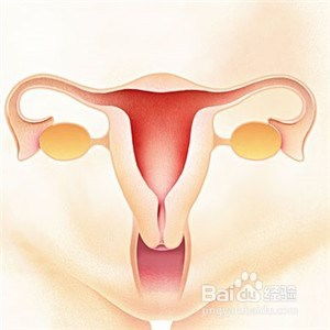 子宫内膜厚度与怀孕的关系